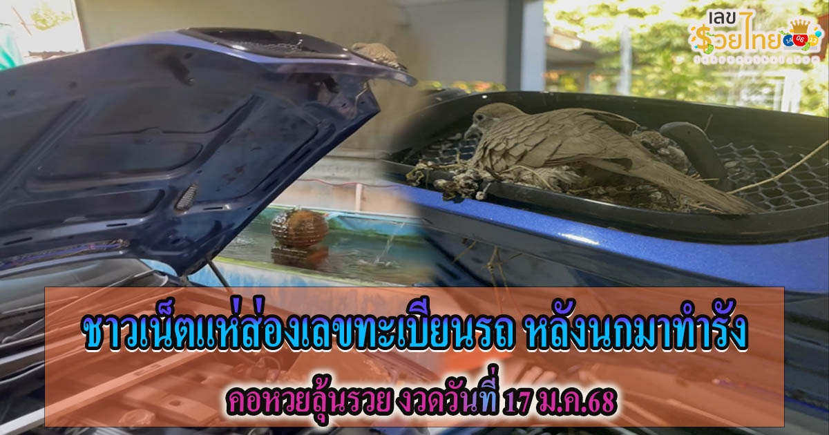 แห่ส่องเลขทะเบียนรถ เสี่ยงโชคงวด 17 ม.ค.68 หลังแม่นกบินมาทำรังกกไข่ รอฟักลูก เจ้าของใจดี ไม่กล้าขับรถนานร่วมเดือน คอหวยห้ามพลาด !!