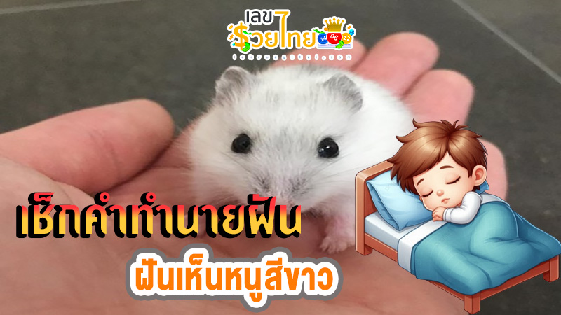 ฝันเห็นหนูสีขาว-"Dreamed of seeing a dead rat"