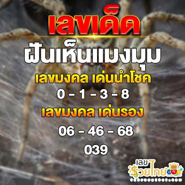 ฝันเห็น แมงมุม ตัวใหญ่ เลขเด็ด-"Dreaming of a big spider, lucky numbers"