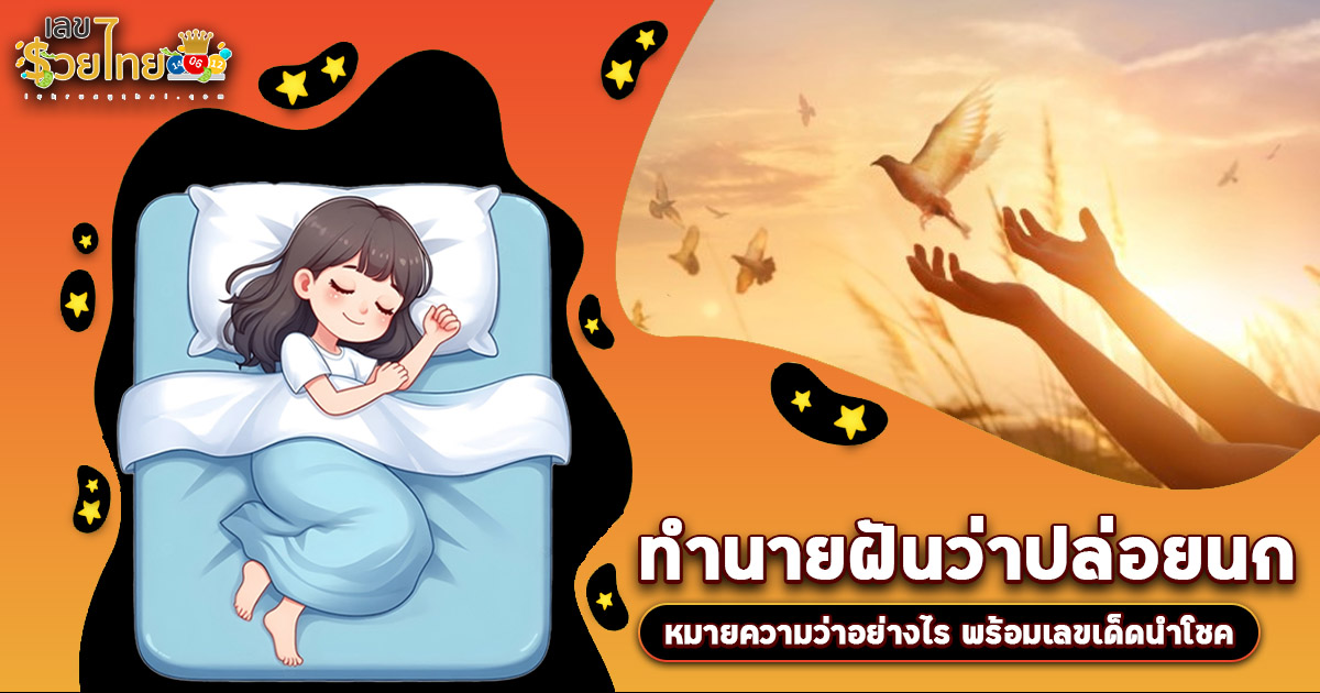 ฝันว่าปล่อยนก หมายความว่าอย่างไร พร้อมเลขเด็ด แม่นๆ ที่ควรรู้เกี่ยวกับความฝัน ห้ามพลาด เช็กเลย!