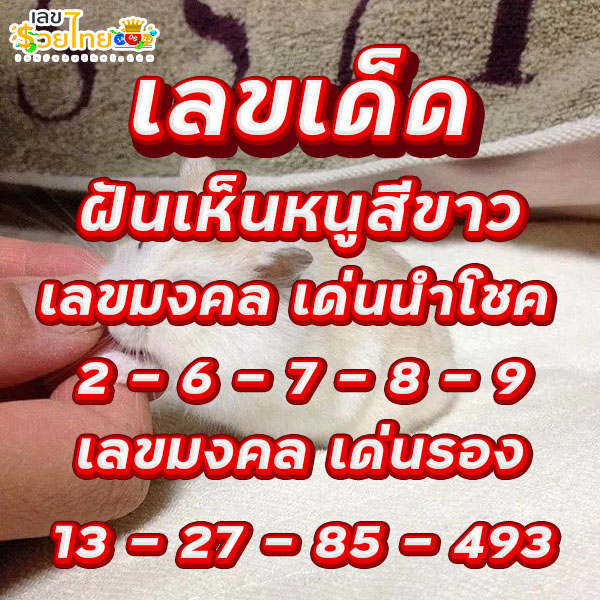 ฝันเห็นหนูสีขาว เลขเด็ด-"Dreaming of seeing a white rat, lucky numbers"