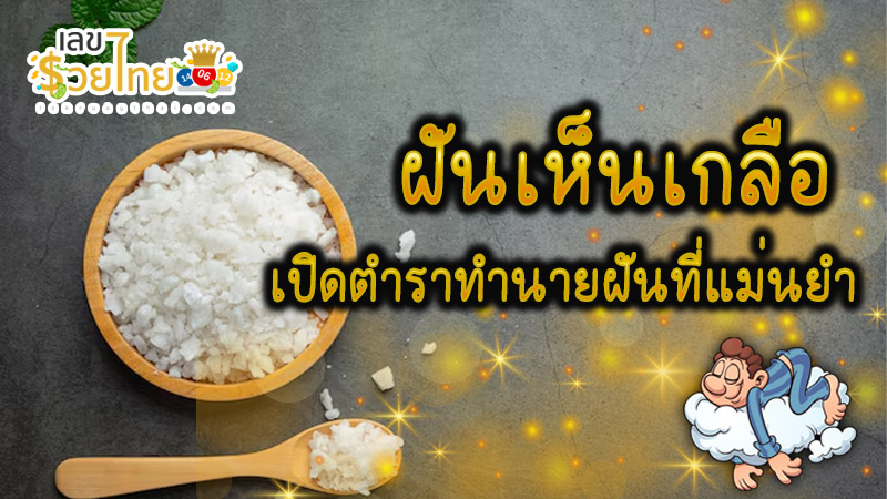 ฝันเห็นเกลือ - "Dreaming. of salt"