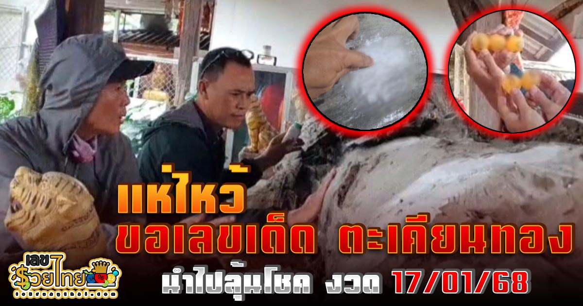 ชาวบ้านดอกคำใต้ จังหวัดพะเยา แห่ไหว้ ขอเลขเด็ด ตะเคียนทอง โบราณอายุ 500 ปี ห้ามพลาด เล็งเสี่ยงโชค 17/01/68
