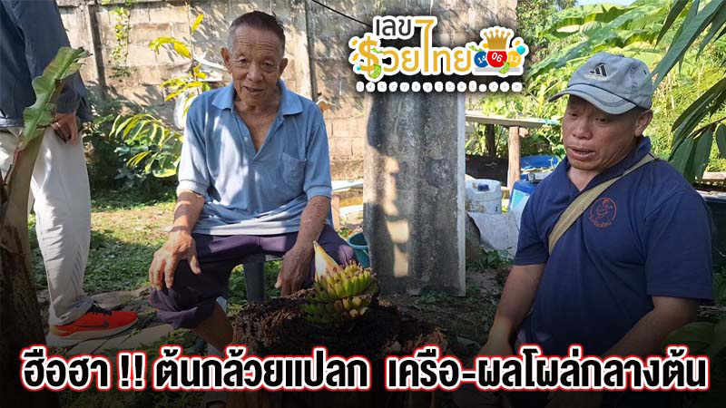 ต้นกล้วยแปลก-"The most delicious banana"
