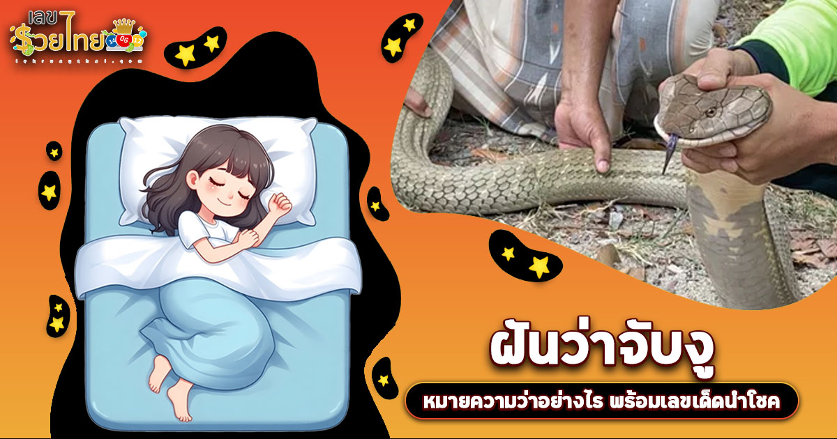 ฝันจับงู ต้องระวัง! หรือเป็นสัญญาณรวยใช่ไหม? เปิดคำทำนาย พร้อมเลขเด็ดห้ามพลาด