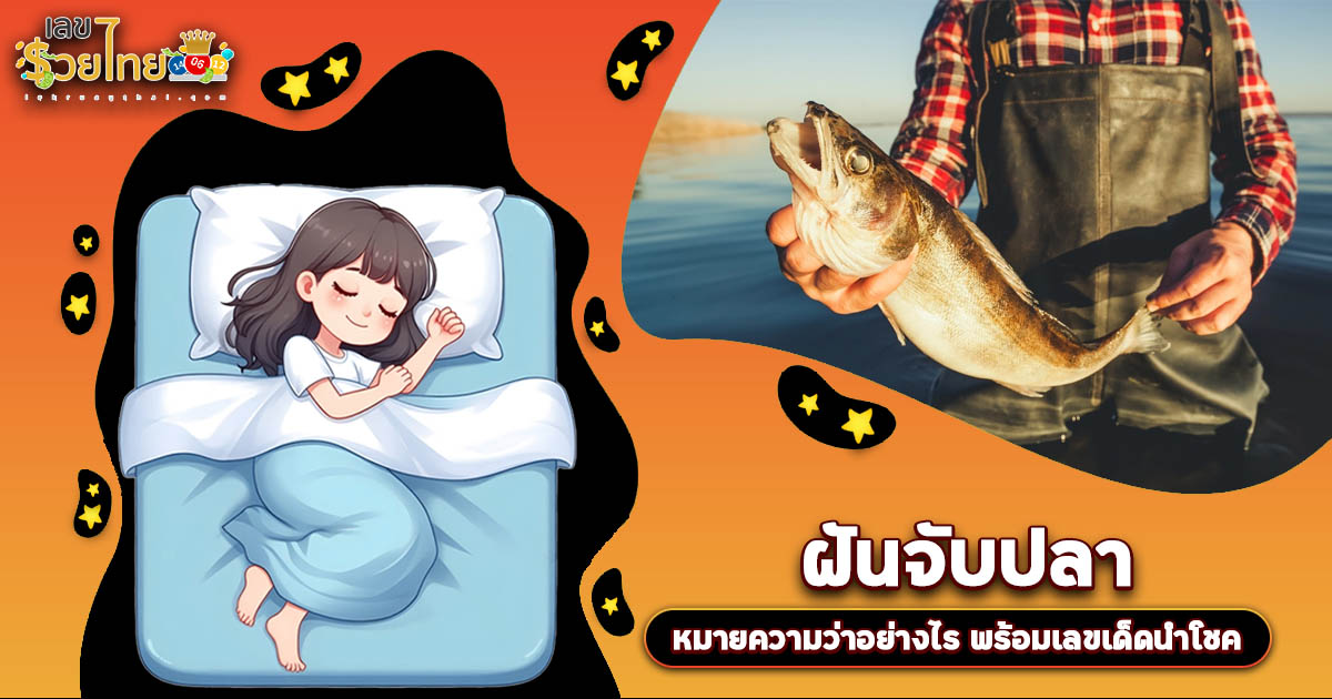 ฝันจับปลา สื่อถึงอะไร? ลางบอกเหตุหรือโชคก้อนโต? เช็กเลขเด็ดที่นี่!