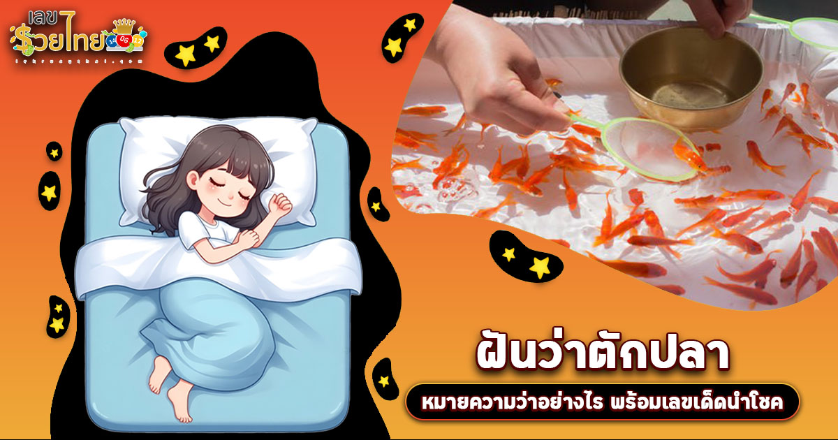 ฝันตักปลา มีลางดีหรือลางร้าย? เช็กคำทำนาย พร้อมเลขเด็ดที่นี่!