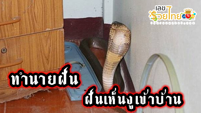 รูปภาพฝันเห็นงูเข้าบ้านของ heng99