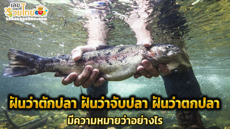 รูปภาพฝันว่าจับปลาของ lekdedonline