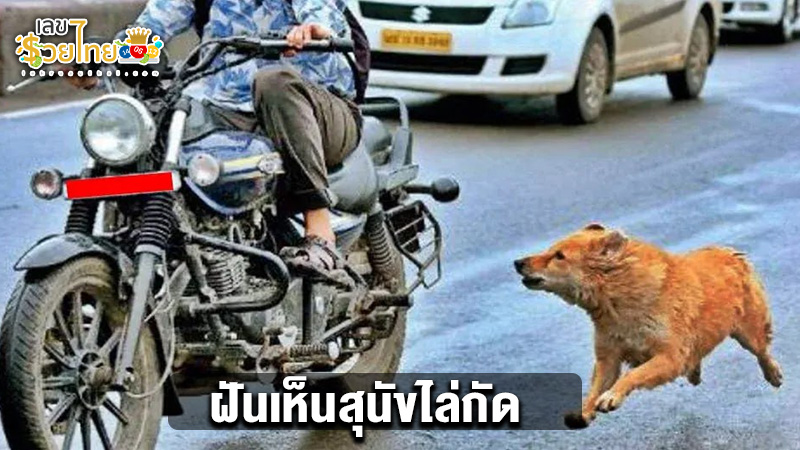 รูปภาพ สุนัขไล่กัดคนของ heng99