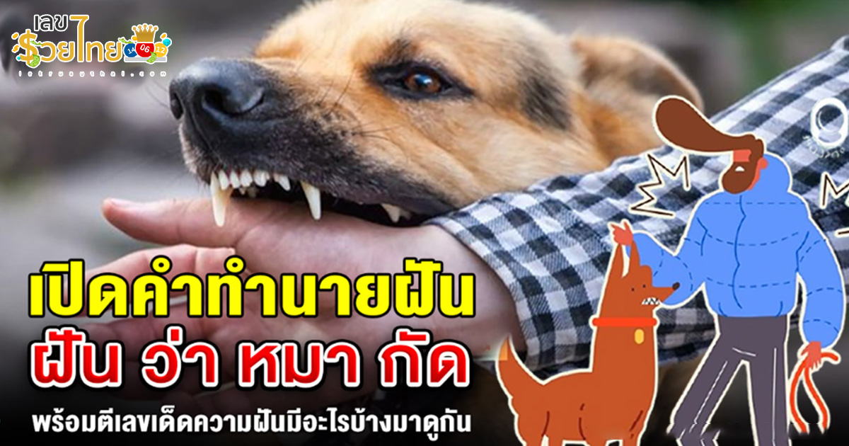 เปิดคำทำนาย ฝันว่าหมากัด หมาบ้ากัดมือ ดวงจะมีเคราะห์หรือว่ากำลังพ้นทุกข์ มาส่องคำทำนายฝันกัน!