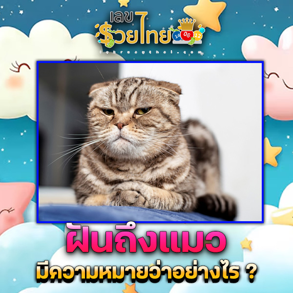 รูปภาพฝันถึงเเมวของ lekdedonline