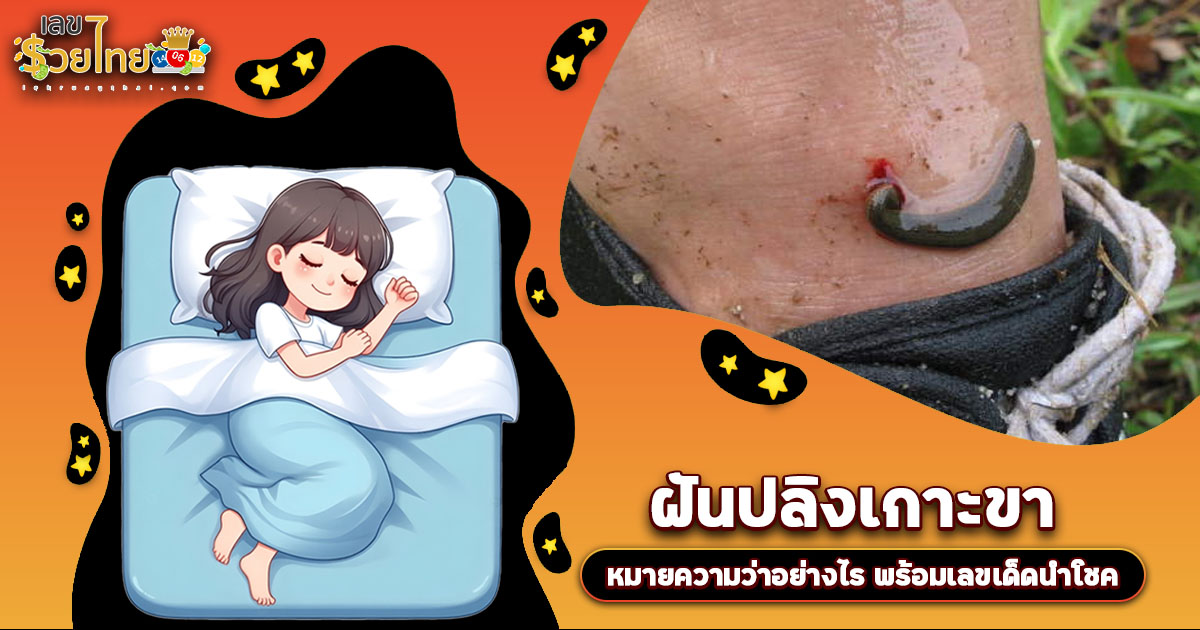 ฝันปลิงเกาะขา ทำนายฝันว่าอย่างไร รวมเลขเด็ดเตรียมรับทรัพย์ หวยงวดนี้