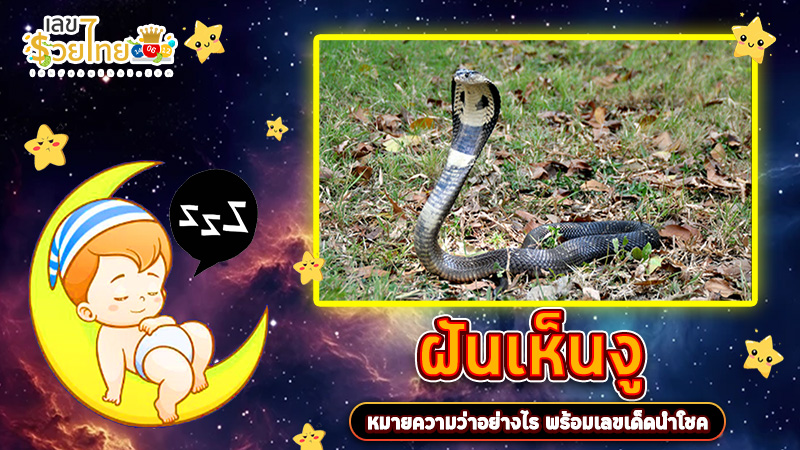 รูปภาพฝันเห็นงูของ heng99
