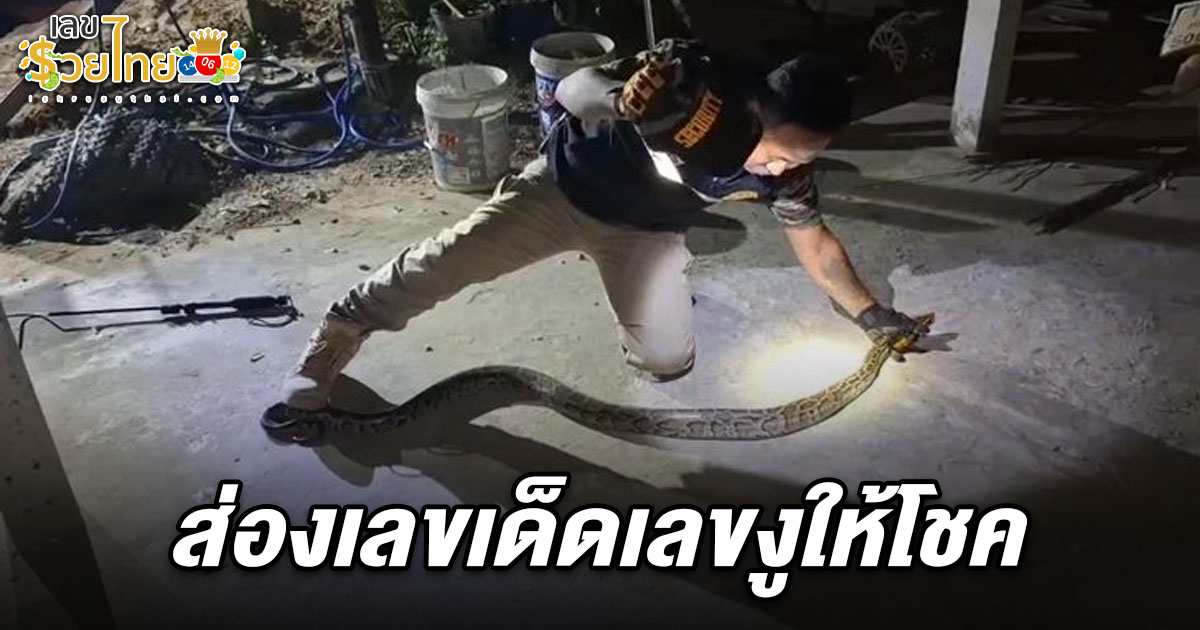 เลขงูให้โชค 1 มี.ค. 68  เจ้าของรถแตกตื่น งูหลามตัวเขื่อง! เลื้อยมุดท้องกระบะ ส่องทะเบียนเลขสวย