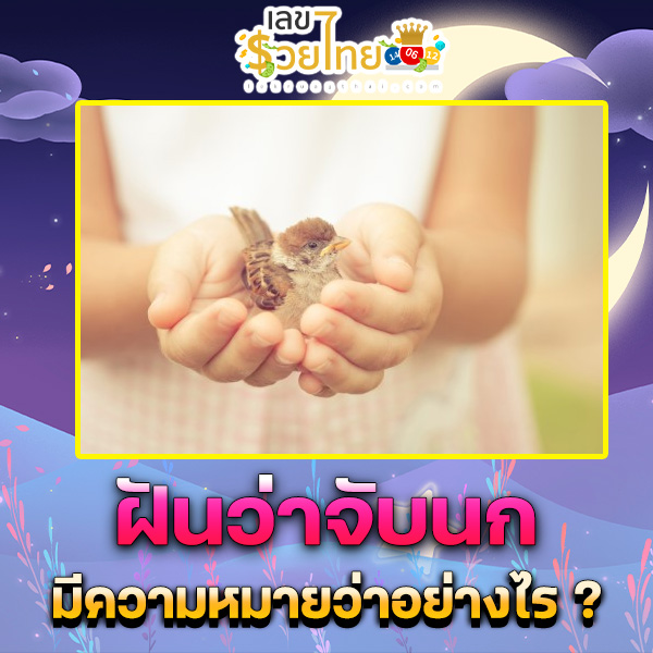 รูปภาพฝันว่าจับนกของ lekdedonline