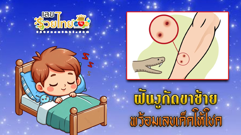 รูปภาพฝันงูกัดขาซ้ายของ heng99