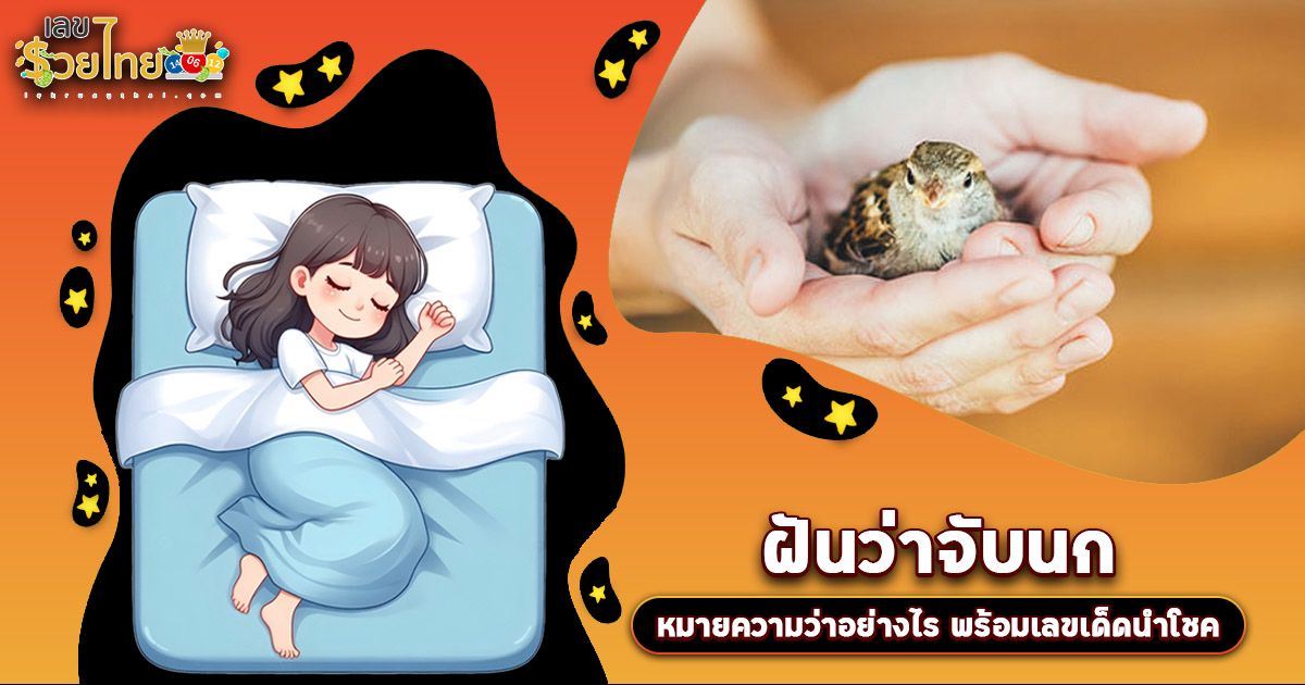 เปิดคำทำนาย ฝันว่าจับนก ทำนายว่าอย่างไร? พร้อมเลขเด็ด แม่นๆ ที่เกี่ยวกับความฝัน เช็กเลย !