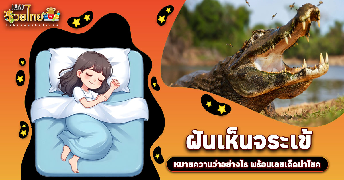 ฝันถึงจระเข้เลข ต้องระวัง! หรือเป็นสัญญาณรวยใช่ไหม? เปิดคำทำนาย พร้อมเลขเด็ดห้ามพลาด