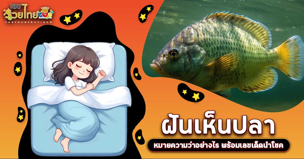 ฝันเห็นปลา นำโชคลาภหรือเคราะห์ใหญ่? เช็กความหมาย พร้อมเลขเด็ด