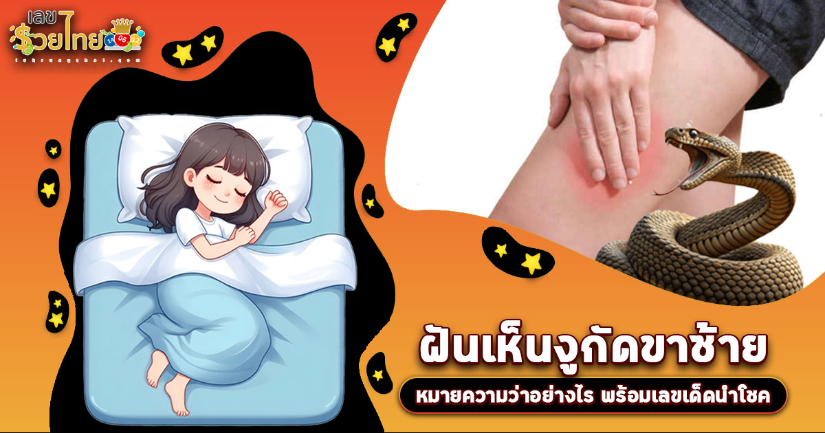 ฝันงูกัดขาซ้าย กำลังสื่ออะไรถึงคุณ? เปิดลางบอกเหตุพร้อมเลขเด็ดสุดแม่น
