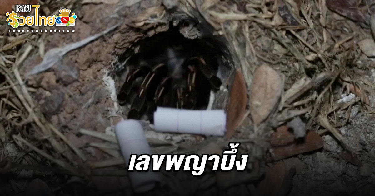 ชาวบ้านแห่ขอเลขเด็ด เลขพญาบึ้ง 16/03/68  ให้โชค 2 ตัวเน้นๆ ลุ้นโชคลุ้นรวย