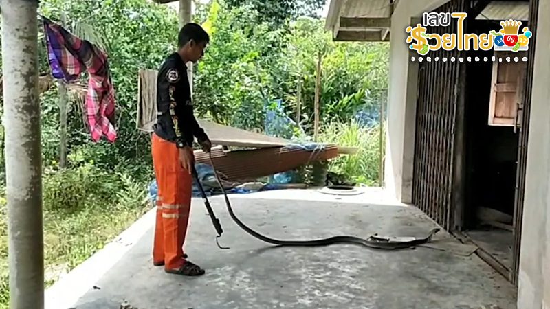 รูปภาพเลขบองหลาเข้าบ้านของ heng99