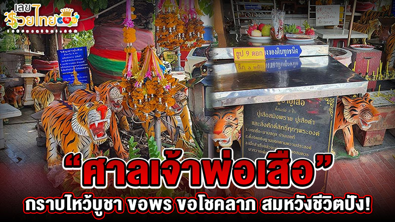 รูปภาพกราบไหว้ขอพรขอโชคลาภศาลเจ้าพ่อเสือของ lekdedonline