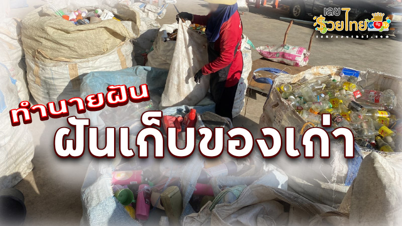 รูปภาพฝันเก็บของเก่าของ lekdedonline