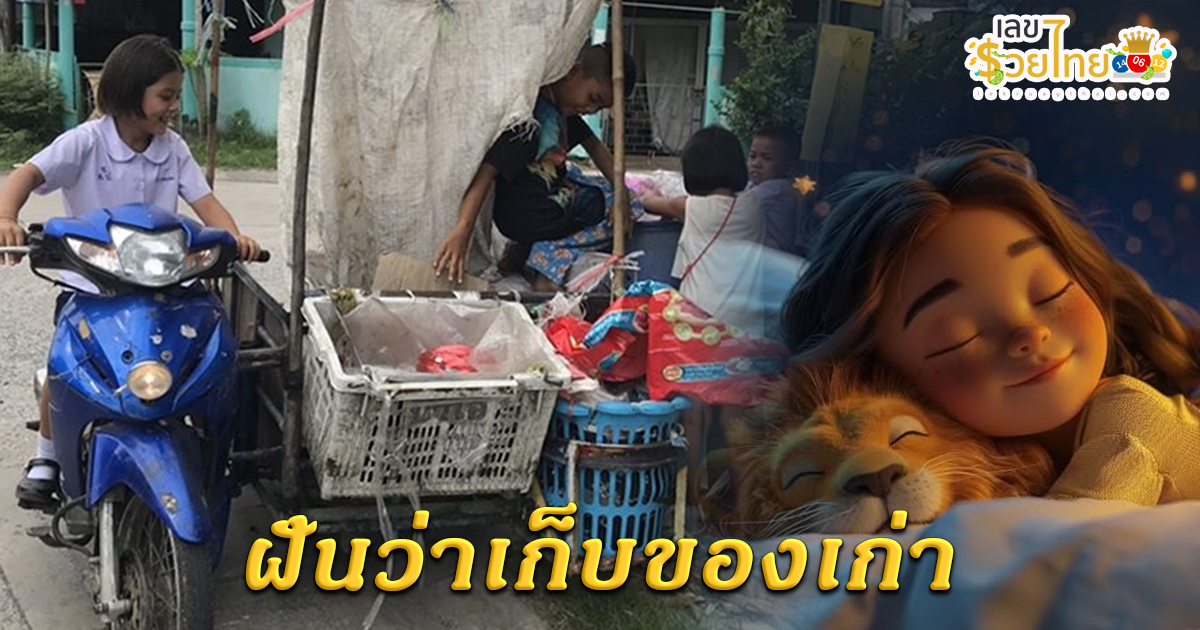 รูปภาพฝันว่าเก็บของเก่าของ lekdedonline