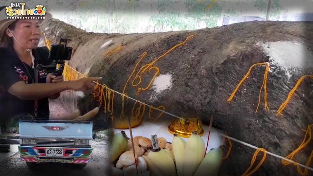 รูปภาพรวมเลขเด็ดตะเคียนยักษ์ของ heng99