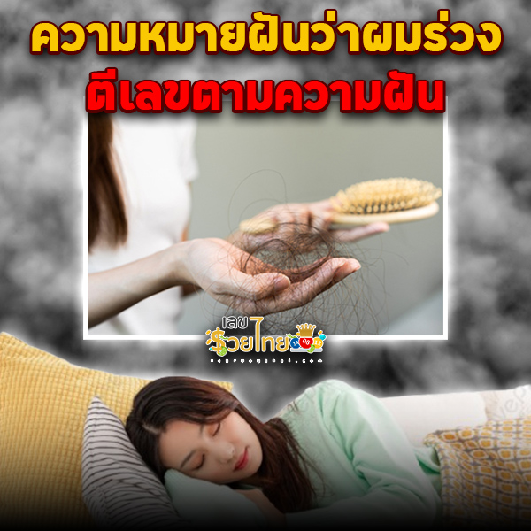 รูปภาพตีเลขเด็ดฝันว่าผมร่วงของ lekdedonline