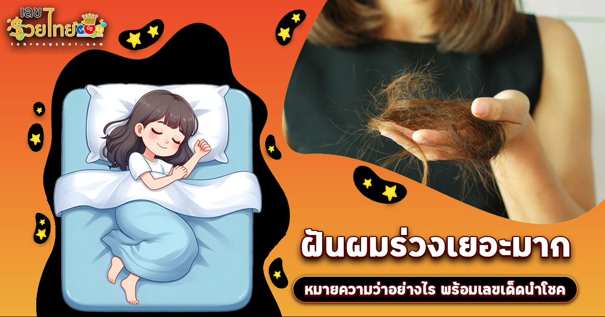 ฝันผมร่วงเยอะมาก ฝันว่าผมร่วง มีลางดีหรือลางร้าย? เช็กคำทำนาย พร้อมเลขเด็ดที่นี่!