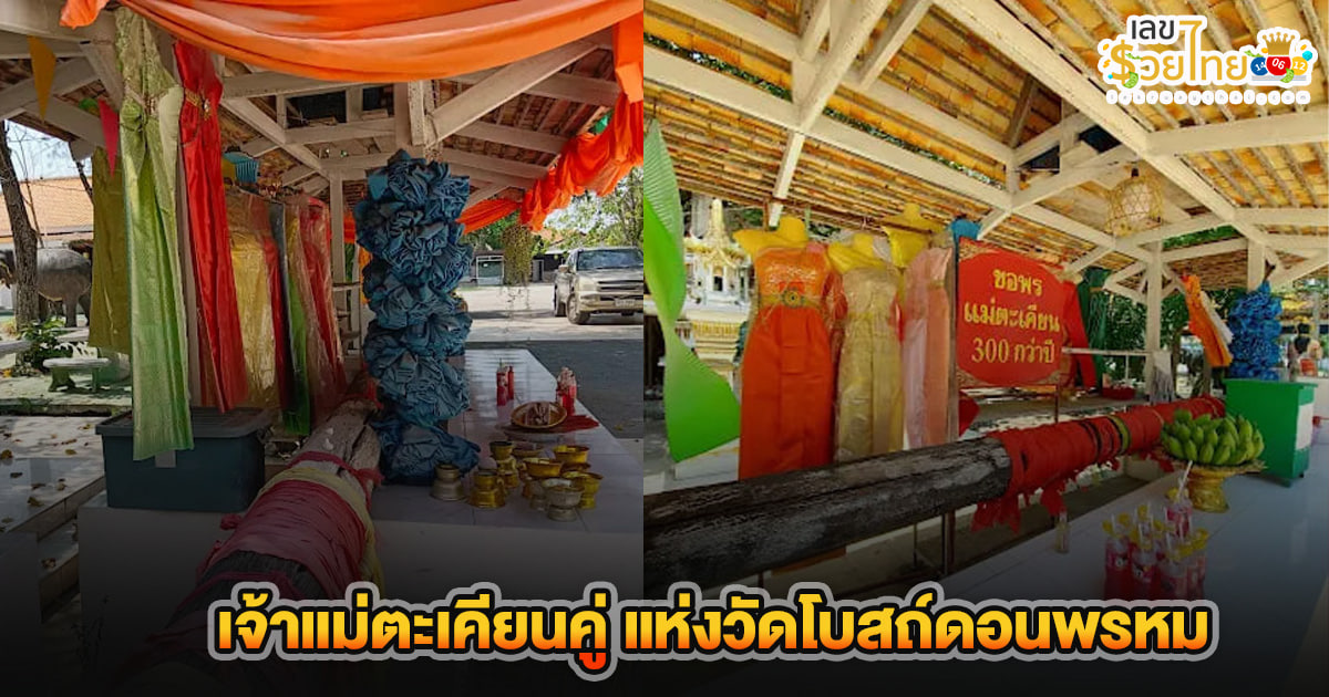 รูปภาพต้นตะเคียนคู่ของ heng99