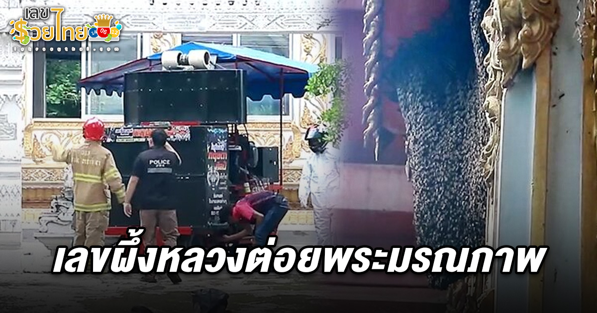 ผึ้งหลวงตกใจเครื่องเสียงงานบวช แตกรังรุมต่อยชาวบ้านเจ็บนับสิบ  คอหวยไม่พลาดส่อง เลขผึ้งหลวงต่อยพระ 1/6/68 ลุ้นรวยงวดนี้