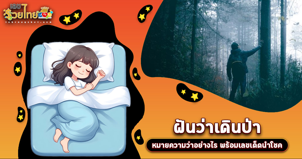 ทำนายฝัน ฝันเดินป่า รวมฝันที่เกี่ยวกับป่า หมายถึงอย่างไร ? พร้อมเลขมงคล โชคลาภ เช็กเลยที่นี่ !!!