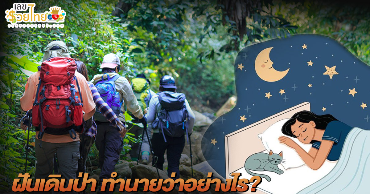 รูปภาพ ฝันว่าเดินป่าของ lekdedonline