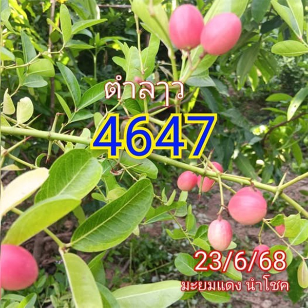 รูปภาพแนวทางหวยลาวซุปเปอร์วันนี้ของ heng99