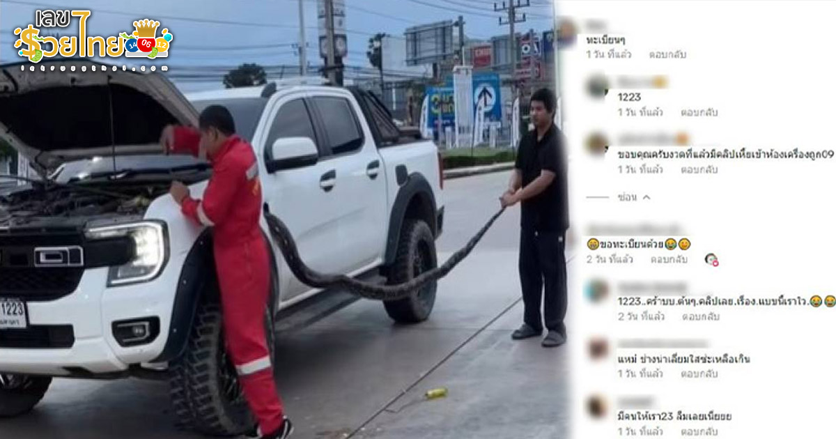 รูปภาพเลขทะเบียนงูเข้ารถชาวเน็ตแห่ส่องเลขเด็ดของ lekdedonline