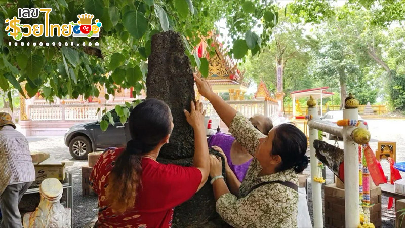 รูปภาพเลขเด็ดหินศิลาแลงของ heng99