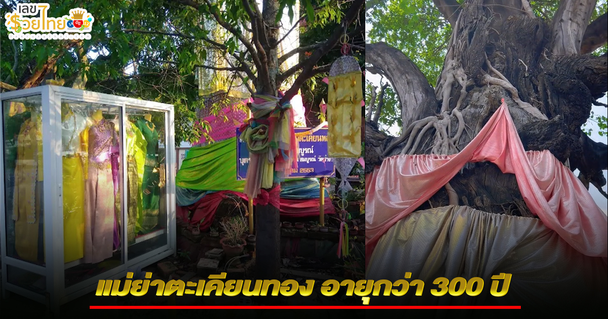รูปภาพแม่ย่าตะเคียนทองของ heng99