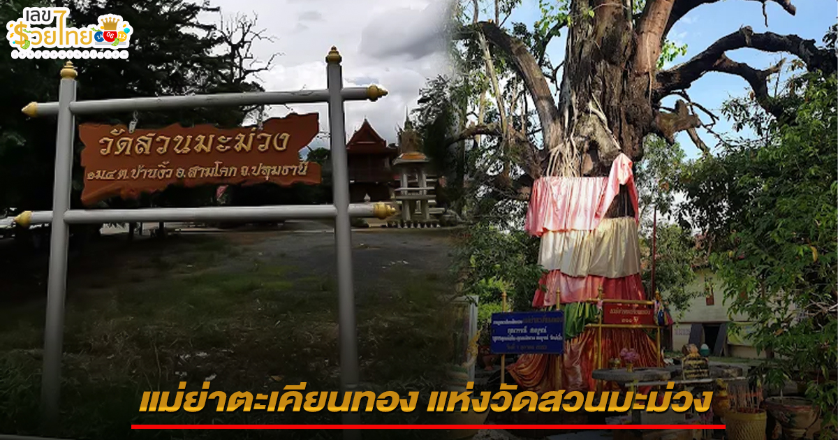 ห้ามพลาด !! ความศักดิ์สิทธิ์ เรื่องโชคลาภ แม่ย่าตะเคียนทอง อายุกว่า 300 ปี แห่งวัดสวนมะม่วง