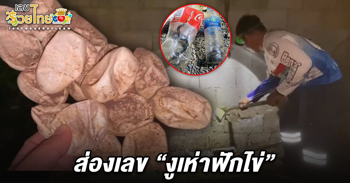 อดีตครูช็อกพบ “ไข่งูเห่า” 17 ฟอง ผงะเจอแค่ 2 ที่เหลือไม่รู้เลื้อยไปอยู่บ้านใคร ไม่พลาดส่อง เลขงูเห่าเข้าบ้าน 16/7/68 ลุ้นโชคงวดนี้!