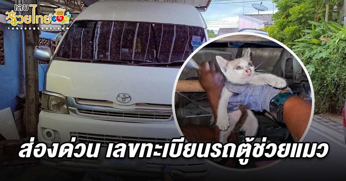 ส่องด่วน! เลขทะเบียนรถตู้ช่วยแมว 1/8/68 ติดคัสซี กู้ภัยฯ ตัดรถช่วยสุดเวทนา คอหวยแห่จดเลขลุ้นงวดนี้