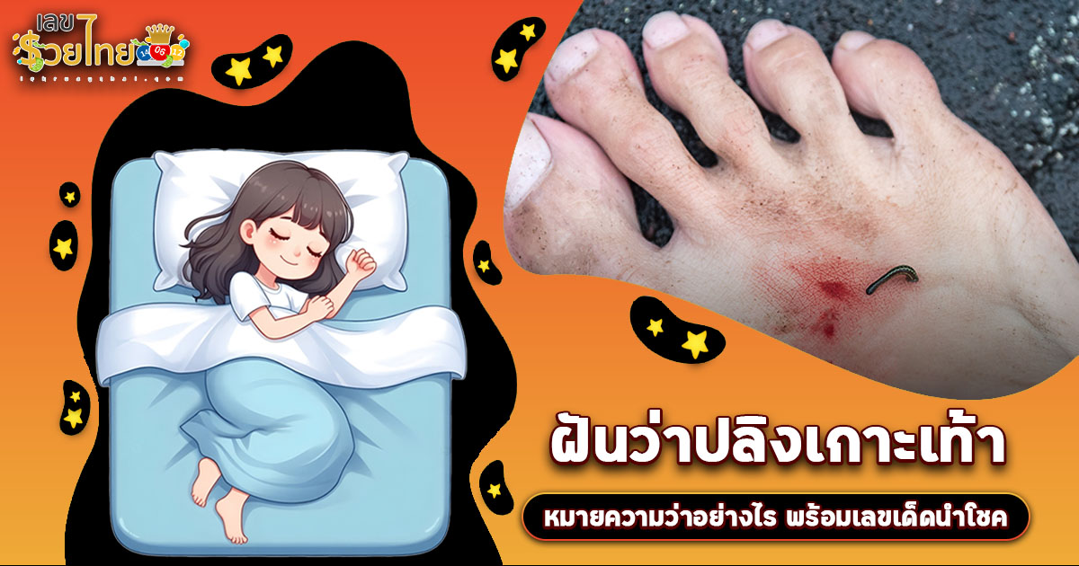 ทำนายฝัน ฝันปลิงเกาะเท้า ลางดีหรือลางร้าย พร้อมขอตัวเลขไว้เสี่ยงทาย